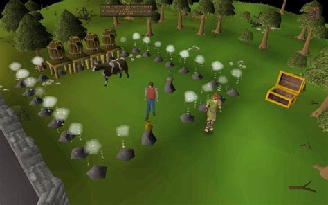 nmz guide|Nightmare Zone/Strategies .